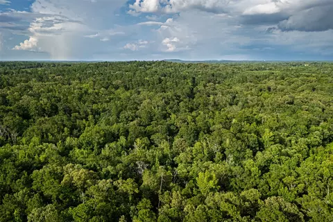 00 Lemon Rd, Gilmer, TX 75644 photo 20