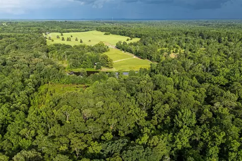 00 Lemon Rd, Gilmer, TX 75644 photo 5