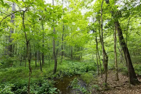 00 Lemon Rd, Gilmer, TX 75644 photo 12