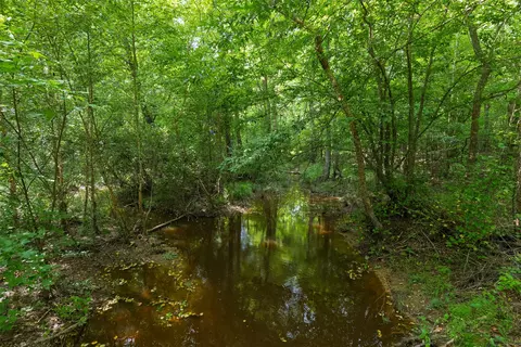 00 Lemon Rd, Gilmer, TX 75644 photo 14