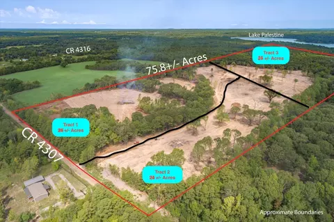 Tract 1 - Tbd County Road 4307, Larue, TX 75770
