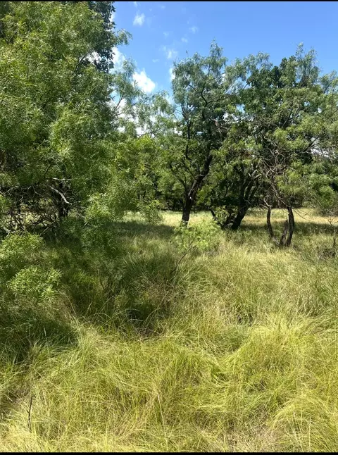 lot591 S Lakeside Dr, May, TX 76857