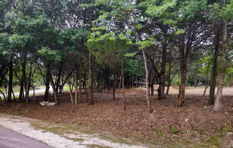 000 Woodridge Ct, Ovilla, TX 75154