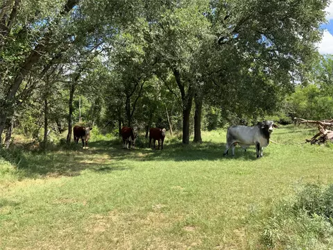 10051 County Road 321, Blanket, TX 76432
