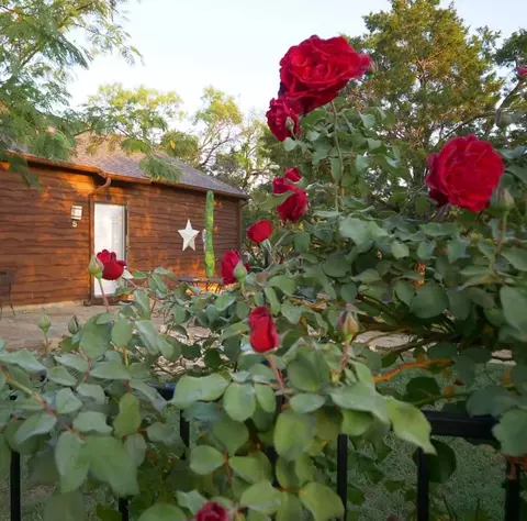 101 Hide Away Dr, Strawn, TX 76475