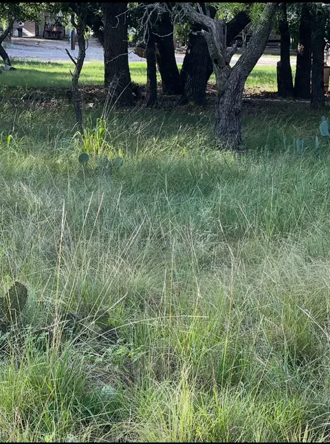 lot653 S Lakeside Dr, May, TX 76857