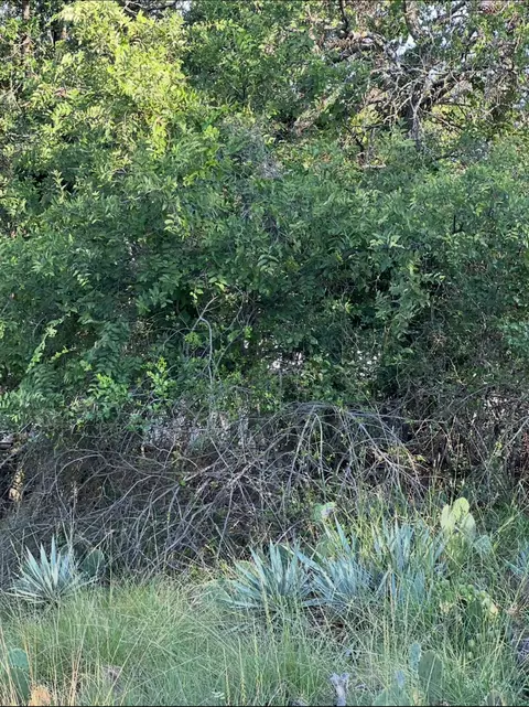 lot669 S Lakeside Dr, May, TX 76857