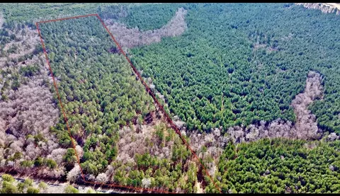 00 Old Plain Dealing Rd, Benton, LA 71006 photo 6