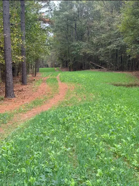 00 Old Plain Dealing Rd, Benton, LA 71006 photo 3