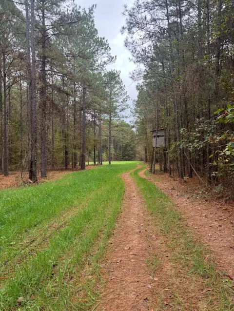00 Old Plain Dealing Rd, Benton, LA 71006 photo 2