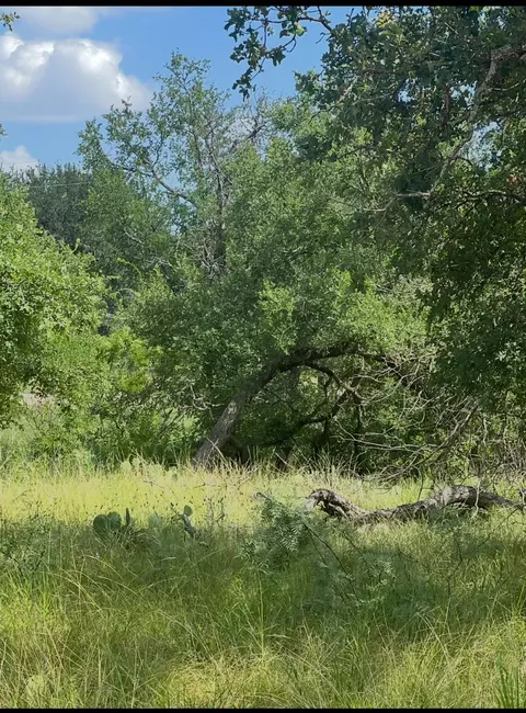 lot697 S Lakes Dr, May, TX 76857