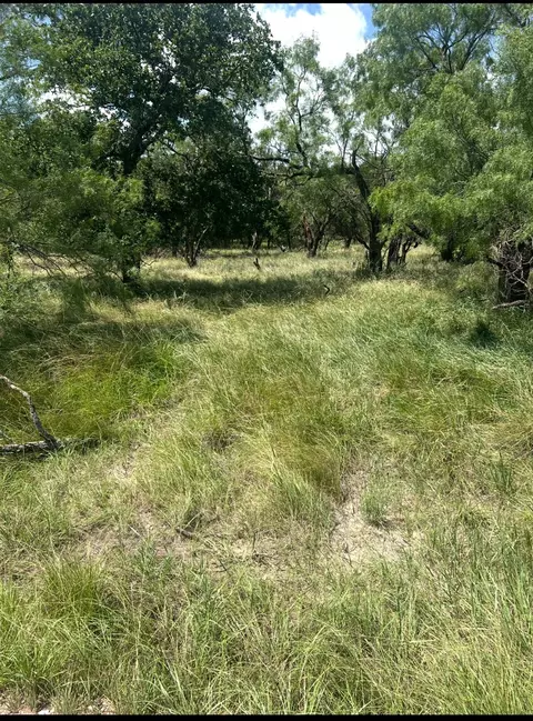 lot916 Oak Point Dr, May, TX 76857