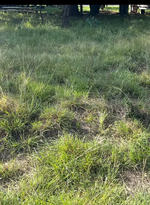lot790 Oak Point Dr, May, TX 76857