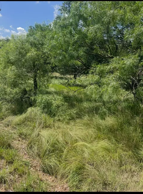 lot821 Oak Point Dr, May, TX 76857