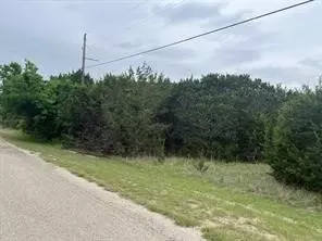 5007 Horseshoe Dr, Whitney, TX 76692