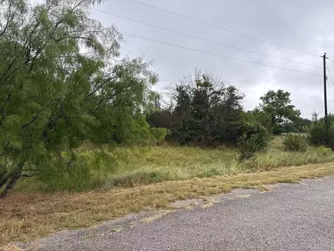 345 Jimmy Houston Dr, Bluff Dale, TX 76433