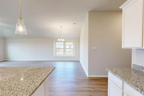 14219 Bacton Rd, Pilot Point, TX 76258 photo 16
