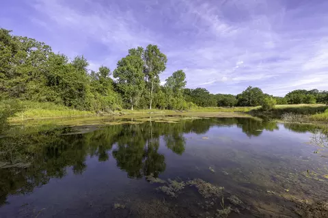 tbd County Road 239, Hico, TX 76457