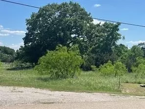 17059 Trailwood Dr, Whitney, TX 76692