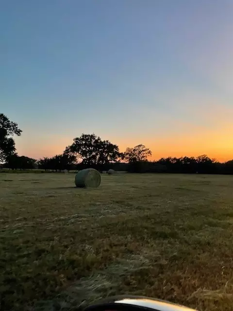 61 32 Acres County Road 3417, Emory, TX 75472