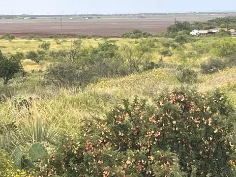 tbd 4 County Road 405, Merkel, TX 79536