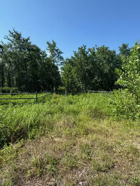 1437 Cedar Mls, Gordonville, TX 76245