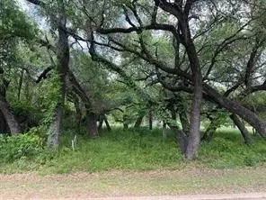 27074 Stonewood Dr, Whitney, TX 76692
