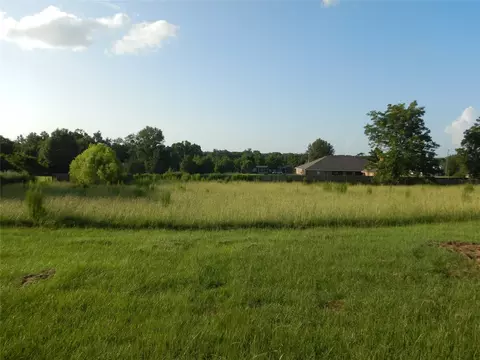 Other - 196 Meadowview Ln, Gloster, LA 71030 photo 3 of 3