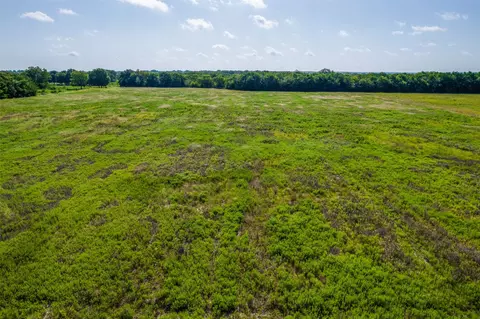 20 Acres Tbd County Road 825, Blue Ridge, TX 75424