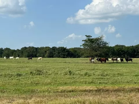 tbd E Fm 2795, Alba, TX 75410