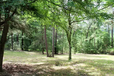 2733 County Road 1560, Grapeland, TX 75844