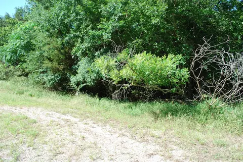 1685 Creekside Ct, Whitney, TX 76692