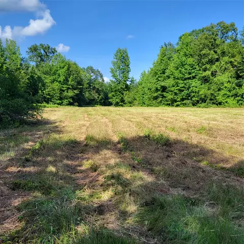 0 Dixon Cutoff Rd, Plain Dealing, LA 71064 photo 4