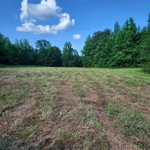 0 Dixon Cutoff Rd, Plain Dealing, LA 71064 photo 3