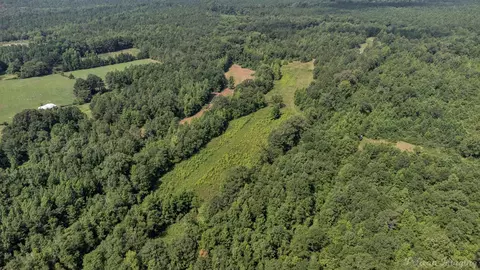 0 Dixon Cutoff Rd, Plain Dealing, LA 71064 photo 6
