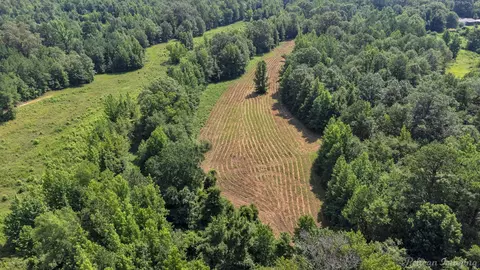 0 Dixon Cutoff Rd, Plain Dealing, LA 71064 photo 2
