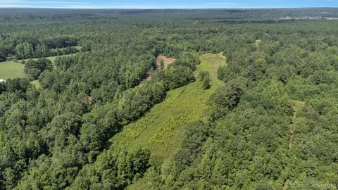 0 Dixon Cutoff Rd, Plain Dealing, LA 71064