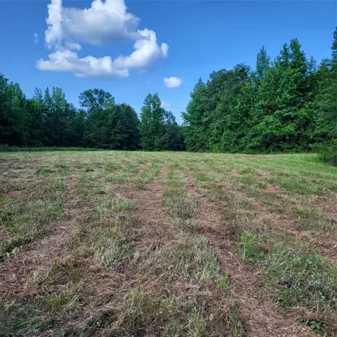 0 Dixon Cutoff Rd, Plain Dealing, LA 71064 photo 3