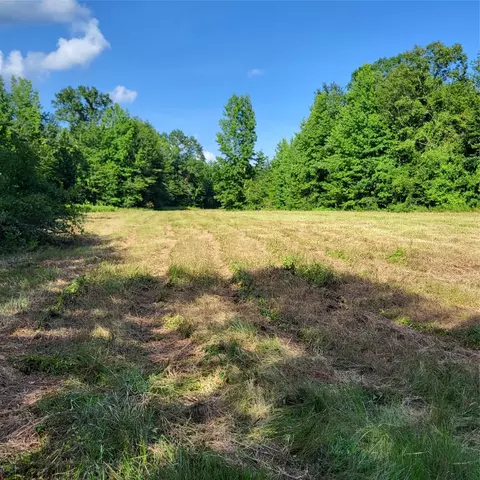 0 Dixon Cutoff Rd, Plain Dealing, LA 71064 photo 4