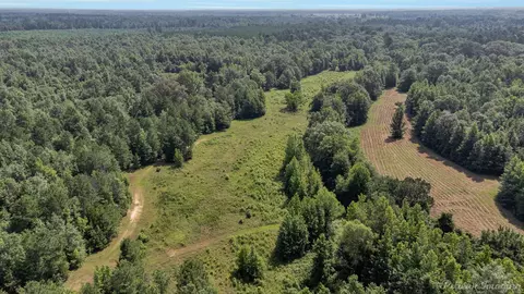 0 Dixon Cutoff Rd, Plain Dealing, LA 71064 photo 8