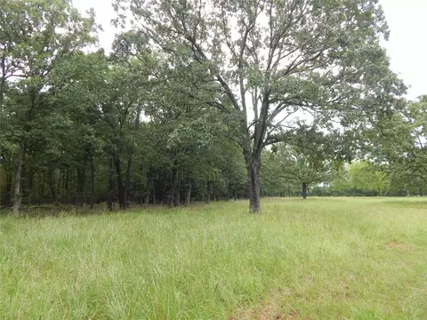 14 46 Lakeside Ests, Bagwell, TX 75412