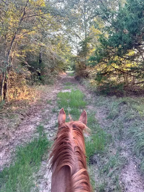 0000 County Road 3226, Lone Oak, TX 75453