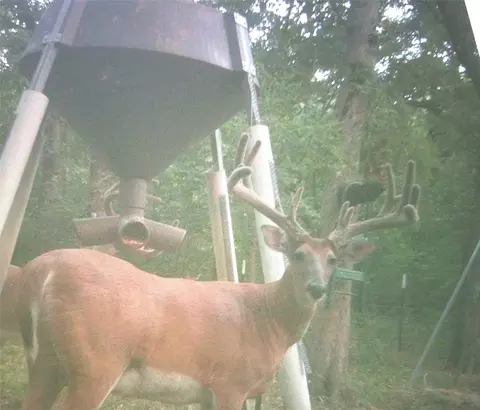 Other - 2340 Wright Rd, Sherman, TX 75092 photo 10 of 12