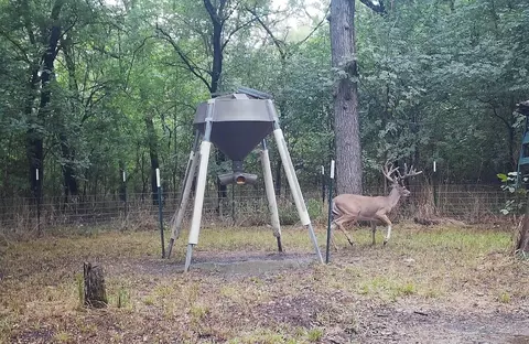 Other - 2340 Wright Rd, Sherman, TX 75092 photo 11 of 12