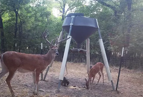 Other - 2340 Wright Rd, Sherman, TX 75092 photo 9 of 12