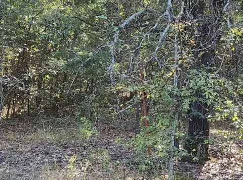 0 County Rd 1158, Brashear, TX 75420