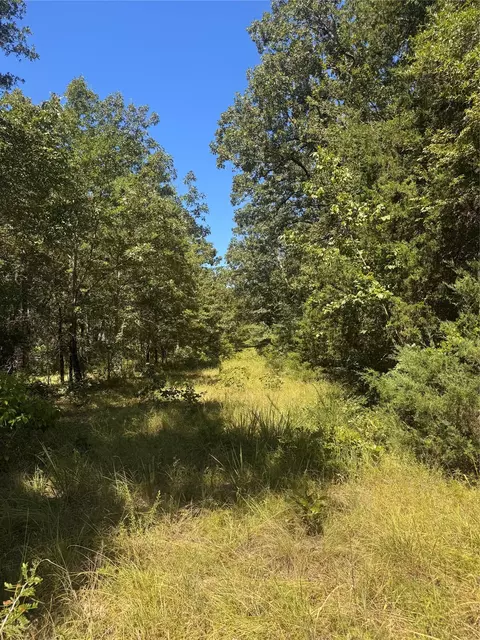 lot19 Saddle Creek Ct, Alba, TX 75410