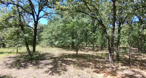 lot19 Saddle Creek Ct, Alba, TX 75410