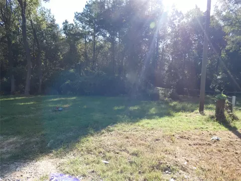 Exterior - 177 Tic Toc Ln, Trinity, TX 75862 photo 7 of 15