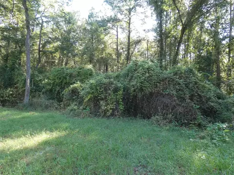 Other - 177 Tic Toc Ln, Trinity, TX 75862 photo 1 of 3